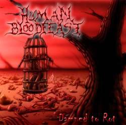 Human Bloodfeast : Damned to Rot